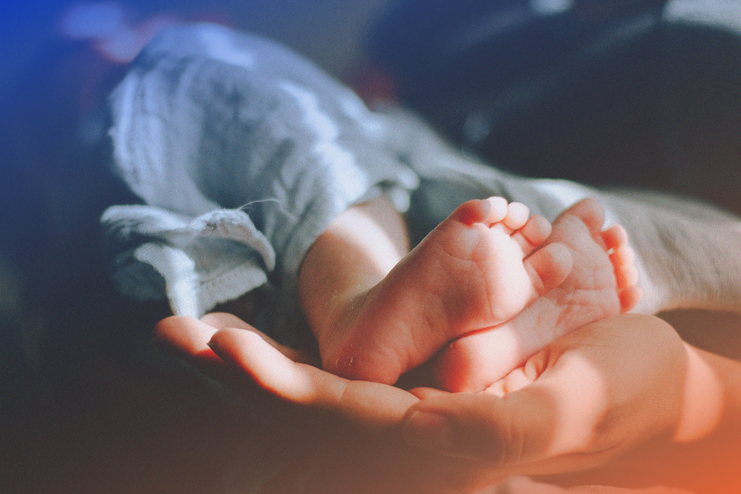 Nappies, Wipes & Creams.