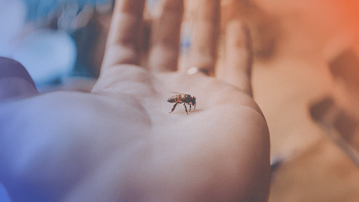 Insect bite & Repellent - Rightangled