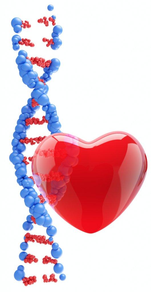 Genetic Influence on  Beta-Blocker Therapy - Rightangled