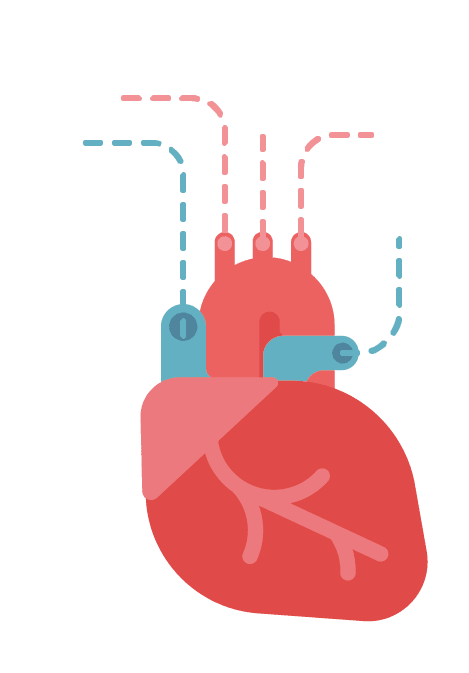 How the Heart Works? - Rightangled